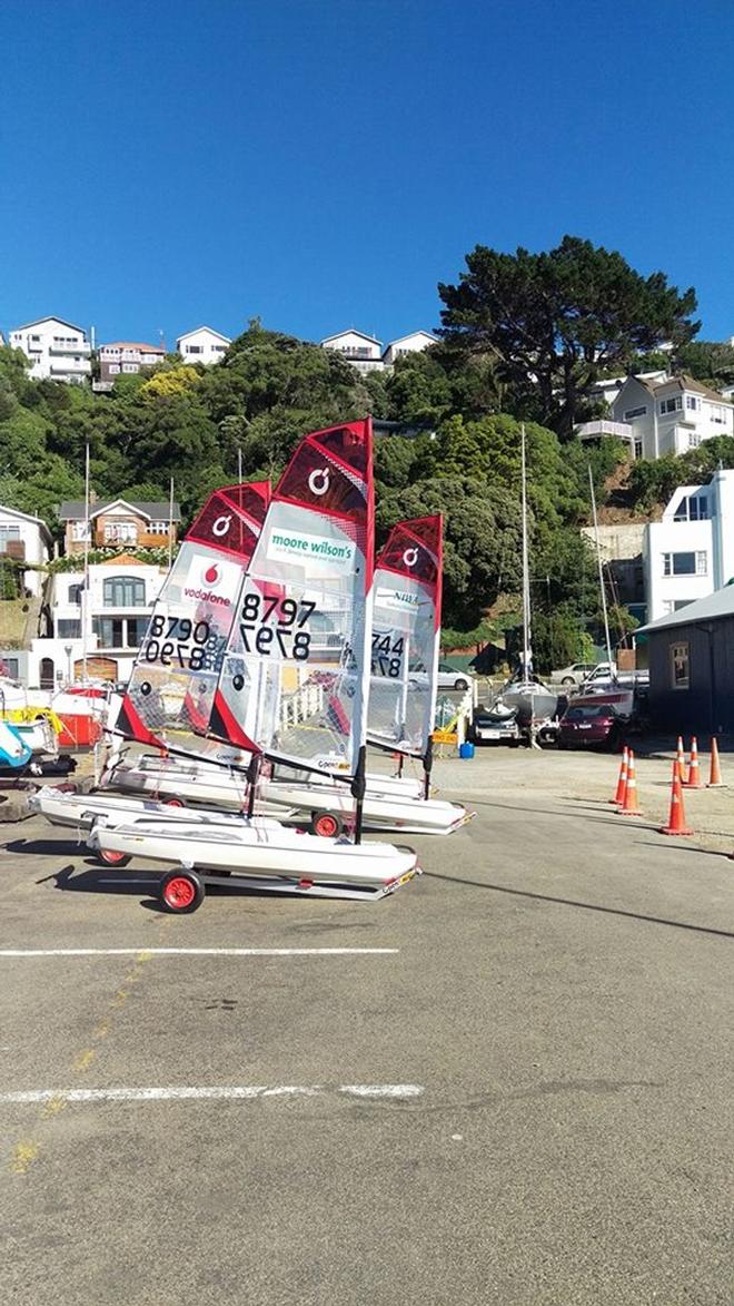 Wellington O'pen BIC fleet ready to go - Chris Hargreaves © Jennifer Loader